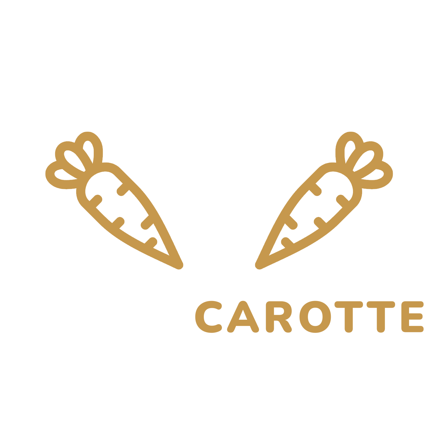 BOEUF CAROTTES